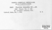 Puccinia absinthii image